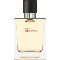 Hermès Paris Terre d'Hermès, Eau de Toilette 50ml