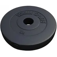 Gorilla Sports Painolevyt BASIC 51mm Sementti - 1,25kg-15kg