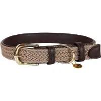 Kentucky Nylon Plaited Koiranpanta