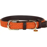 Kentucky Nylon Plaited Koiranpanta