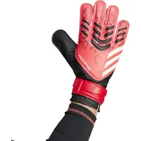 Adidas Predator Training Maalivahdin Hanskat