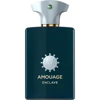 Amouage Enclave Man, EdP 100ml