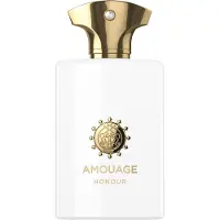 Amouage Honour Man, EdP 100ml