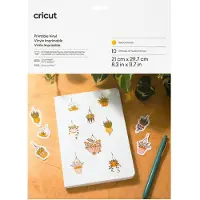 Cricut Joy Xtra Printable Vinyl Gold 10-pack A4