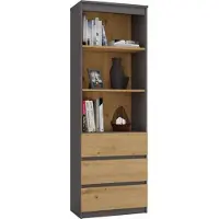 Topeshop Toimiston kirjahylly Regal RS60, antrasiitti/käsitelty tammi