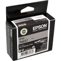 Epson T46S7 Mustepatruuna harmaa
