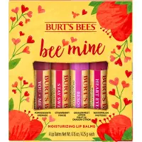 Burt’s Bees Bee Mine Lip Balm Gift Set