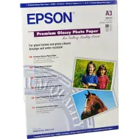 Epson PREMIUM GLOSSY PHOTO PAPER, A3, 255G, 20 (C13S041315)