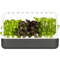 Click & Grow Smart Garden 9 Starter kit Dark Gray