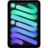 Apple iPad mini (2024) | 8.3" | 256 GB | spacegrey