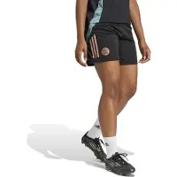Adidas Fc Bayern Tiro 24 Training Shortsit