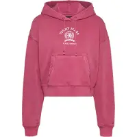 Tommy Hilfiger Dw0dw20311 Huppari