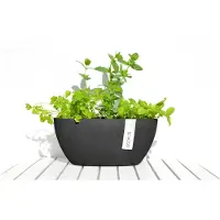 Ecopot's Sofia ruukku