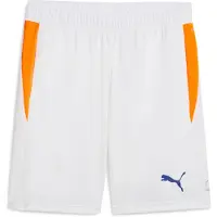 Puma Individual Training Shortsit