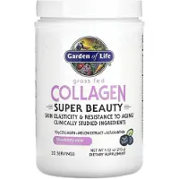 Garden of life , Ruokintaa Vapaa Kollageeni, Super Beauty, Blueberry Acai, 9,52 oz (270 g)