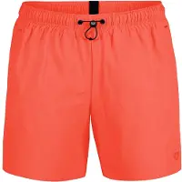 Arena Evo Beach Solid Uimashortsit