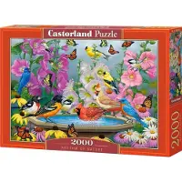 Castorland Palapeli Rhythmn of nature 2000 osaa