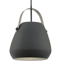 Eglo 98349 - Kattokruunu narulla BEDNALL 1xE27/60W/230V