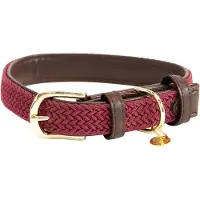 Kentucky Nylon Plaited Koiranpanta