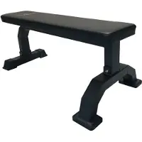 Titan Life Bench Flat Bench II