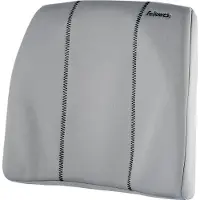 Fellowes Graphite Slimline Back Support (9190901)