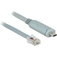 DeLOCK 1 m Adapter USB 2.0 Type-C – RJ45 -kaapeli, Harmaa