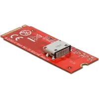 DeLOCK – M.2 Key M to 1 x OCuLink SFF-8612 Converter (64106)