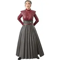 Hasbro Fans Disney The Black Series: Αhsoka - Morgan Elsbeth Action Figure (F7036)