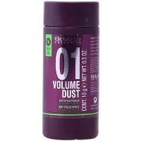 Salerm Volume Dust Matifying 10g Muotoilupuuteri
