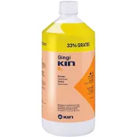 Kin Gingikin B5 1l Suuvesi