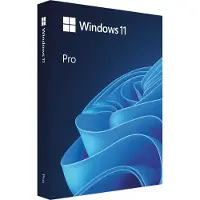 Microsoft Windows 11 Professional BOX USB PL