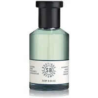 Shay & Blue Blueberry Musk Natural Spray Fragrance Eau de Parfum 100 ml