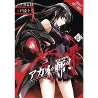 Little, Brown and Company Akame ga KILL! ZERO, Vol. 10