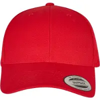 Flexfit Classic Snapback Lippis