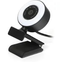 Platinet Platinet-verkkokamera PCWC2KAF (45707)