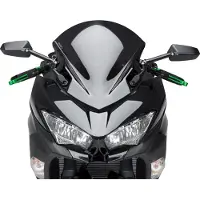 Puig Z-racing Kawasaki Ninja 400 Tuulilasi