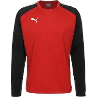 Puma Toiminnallinen paita 'Team Liga' punainen / musta