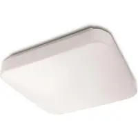 Philips Mauve kattovalaisin 17 W