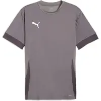 Puma Treenipaita Teamgoal - Harmaa/valkoinen, koko XX-Large