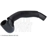 Blue Print Jäähdyttimen letku ADBP930008