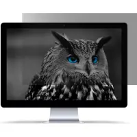 Natec Owl Screen Privacy Protector 13.3″ 16:9 Tietosuojasuodatin