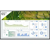 Sony FW-65BZ30L, Digitaalinen litteä infotaulu, 165,1 cm (65"), LCD, 3840 x 2160 pikseliä, Wi-Fi, 24/7