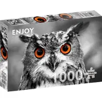 Enjoy Puzzle ENJOY Curious Owl 1000p palapeli