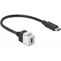 DeLOCK Keystone USB-C -jatkokaapeli, 15 W, 0,25 m, valkoinen