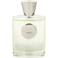 Giardino Benessere Amber Eau de Parfum 100 ml