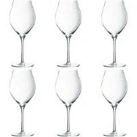 ARC - Exaltation Punaviinilasi 55 cl 6 kpl