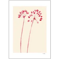 Poster & Frame - The Poster Club x Ana Frois poster 50x70 cm flowers 02