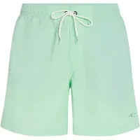 O'Neill Vert 16'' Surffishortsit mildrew mint Koko S