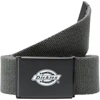 Dickies Orcutt Vyö vihreä