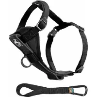 Kurgo Tru-Fit koiran valjas